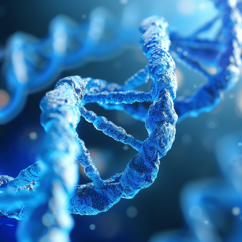 Biolimitless Health and Wellness Phase 1